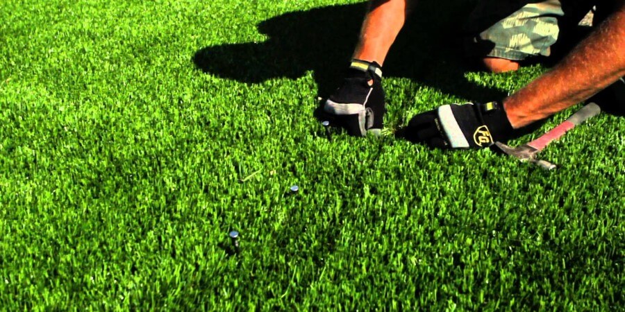 Какие травы чаще всего используются для обустройства спортивного газона?
